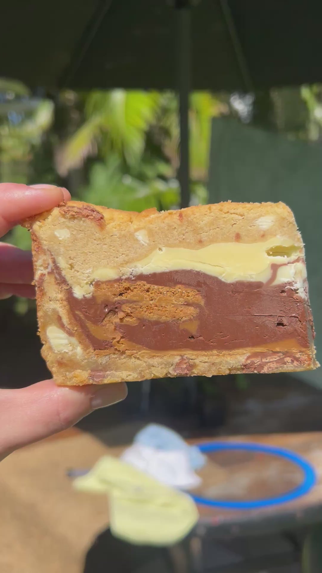 Nutella biscoff white choc cookie pie